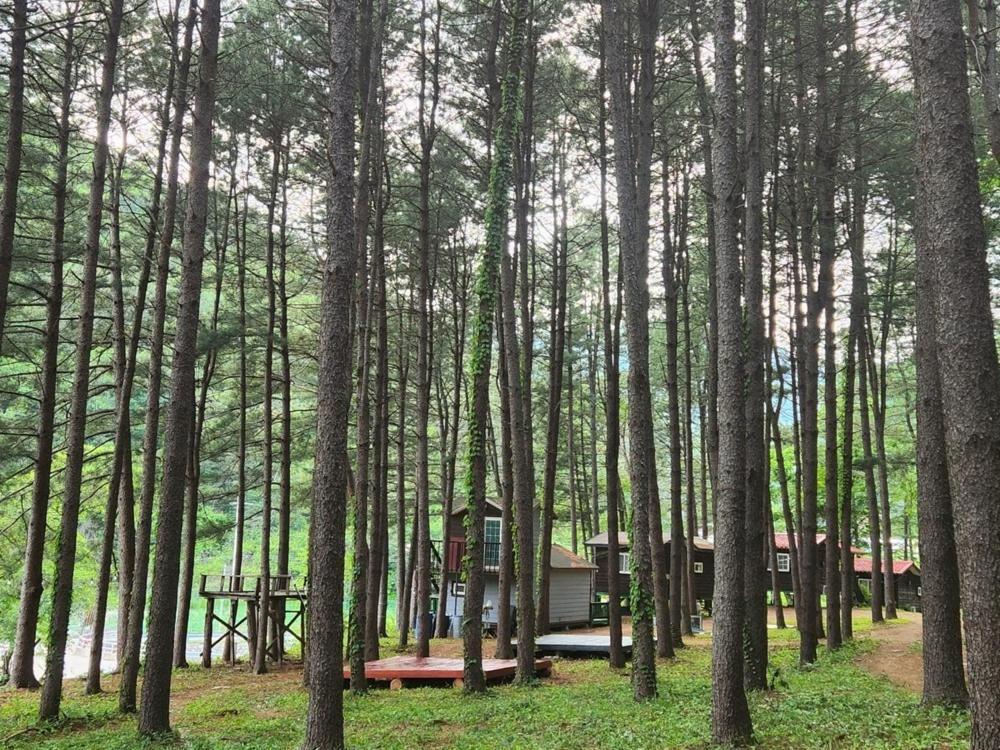 Hongcheon Gongjaksan Recreational Forest Pension Εξωτερικό φωτογραφία