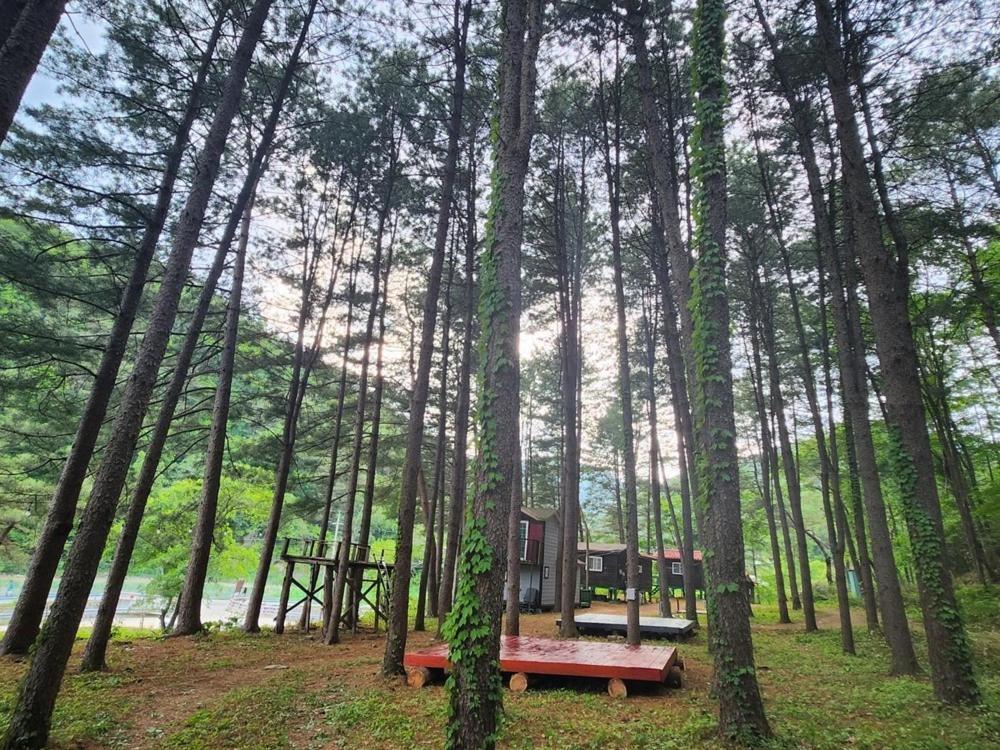 Hongcheon Gongjaksan Recreational Forest Pension Εξωτερικό φωτογραφία