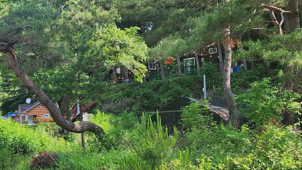 Hongcheon Gongjaksan Recreational Forest Pension Εξωτερικό φωτογραφία